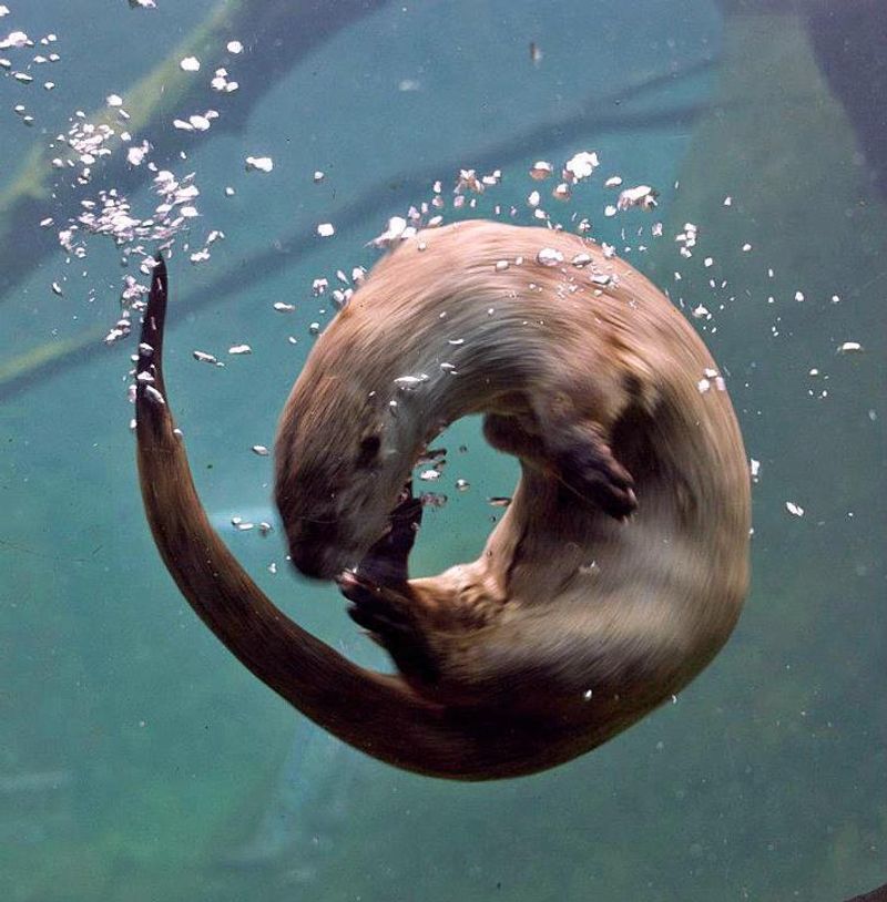 Playful Spirals