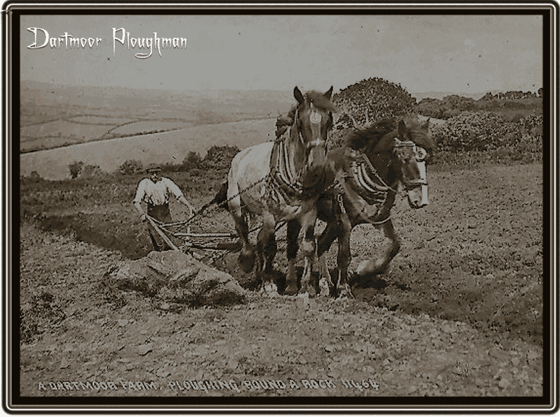 Ploughman