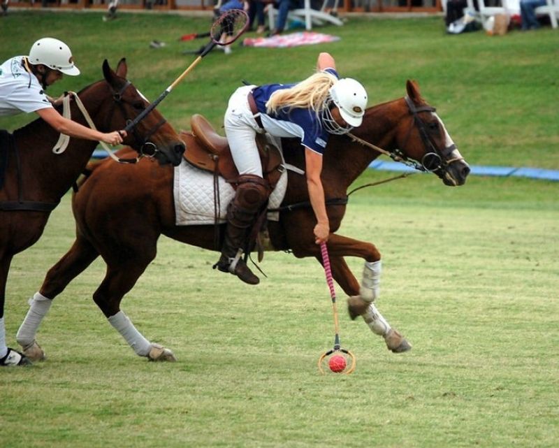 Polocrosse