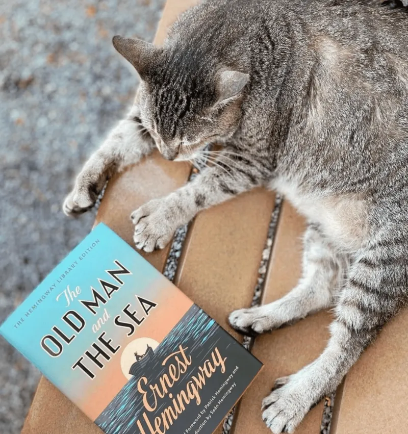 Polydactyl Cats in Literature