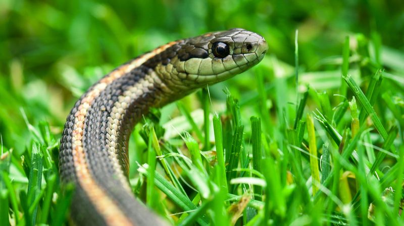 Promoting Biodiversity