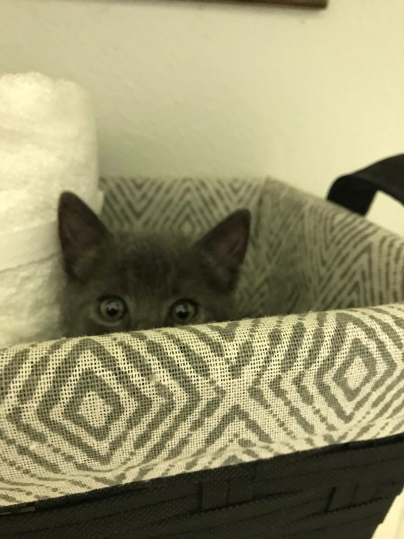 Provide Hiding Spots