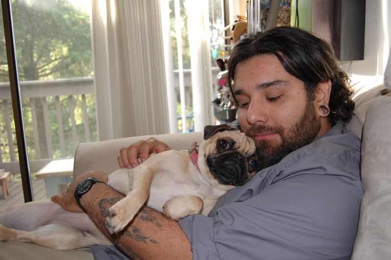 Pug