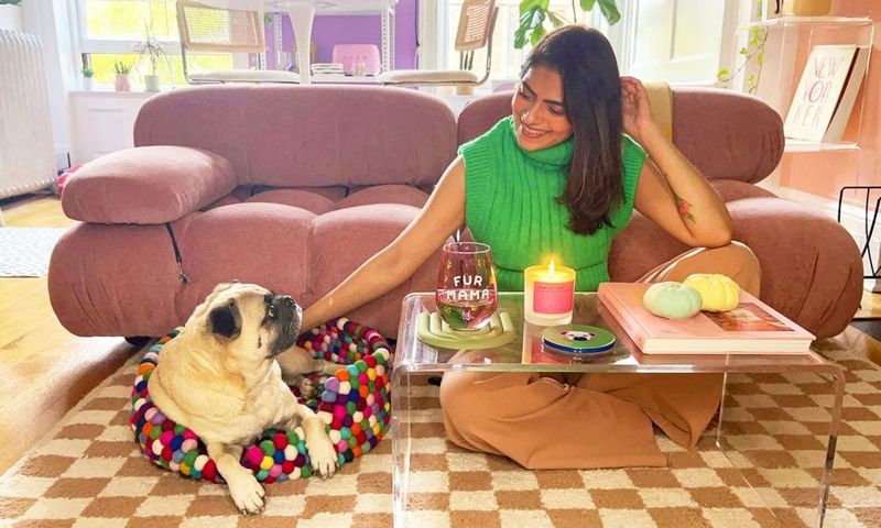 Pug