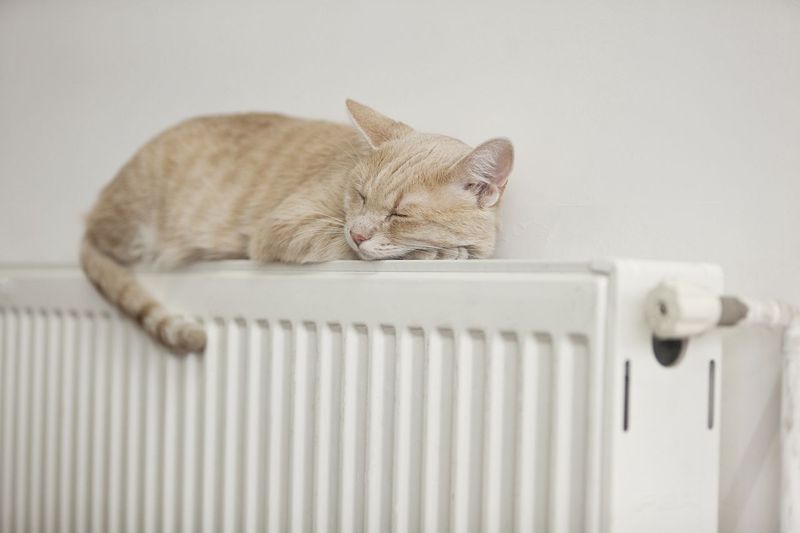 Radiator Warmth