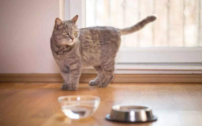 Refusing to Drink Water