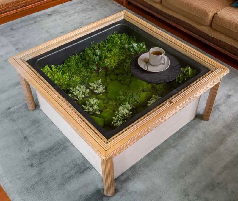 Reptile Terrarium Coffee Table