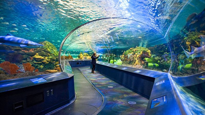 Ripley's Aquarium of Canada, Canada