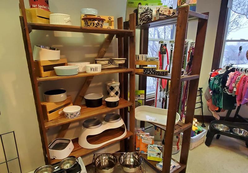 Second-hand Pet Gear