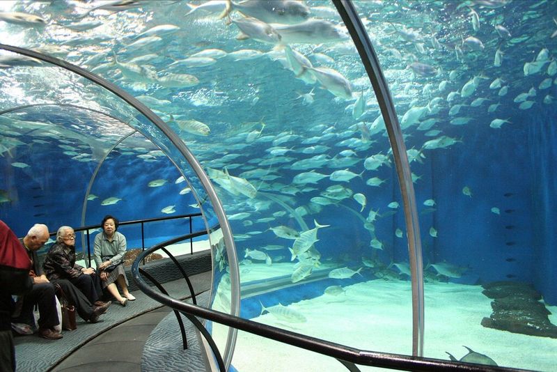 Shanghai Ocean Aquarium, China