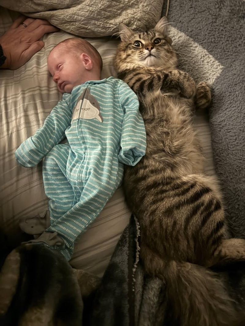 Siberian