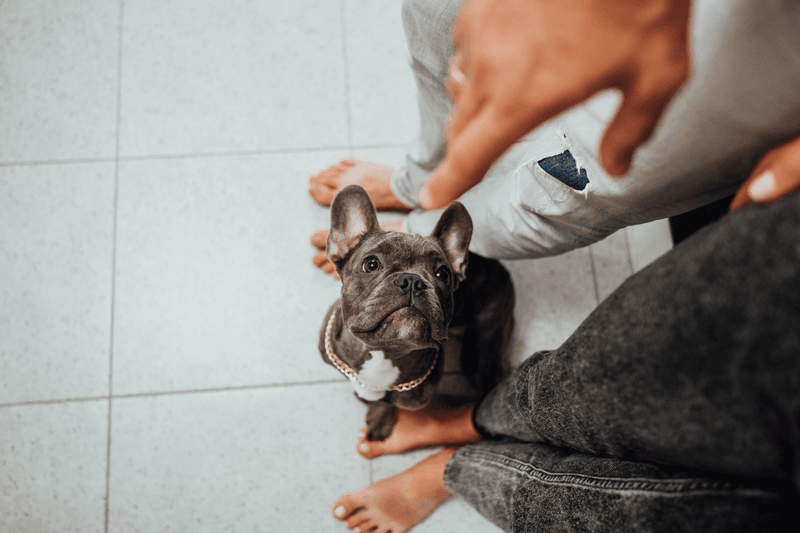Sitting on Your Feet