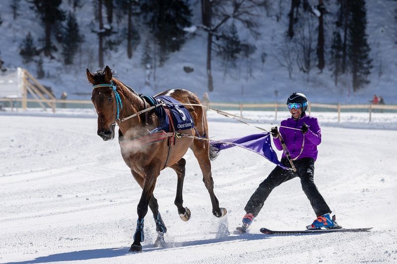 Ski Joring