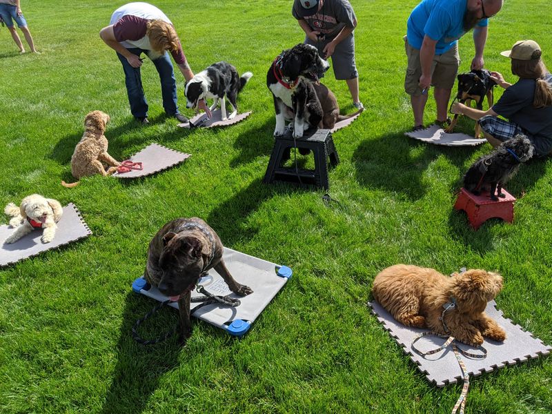 Socialization Classes