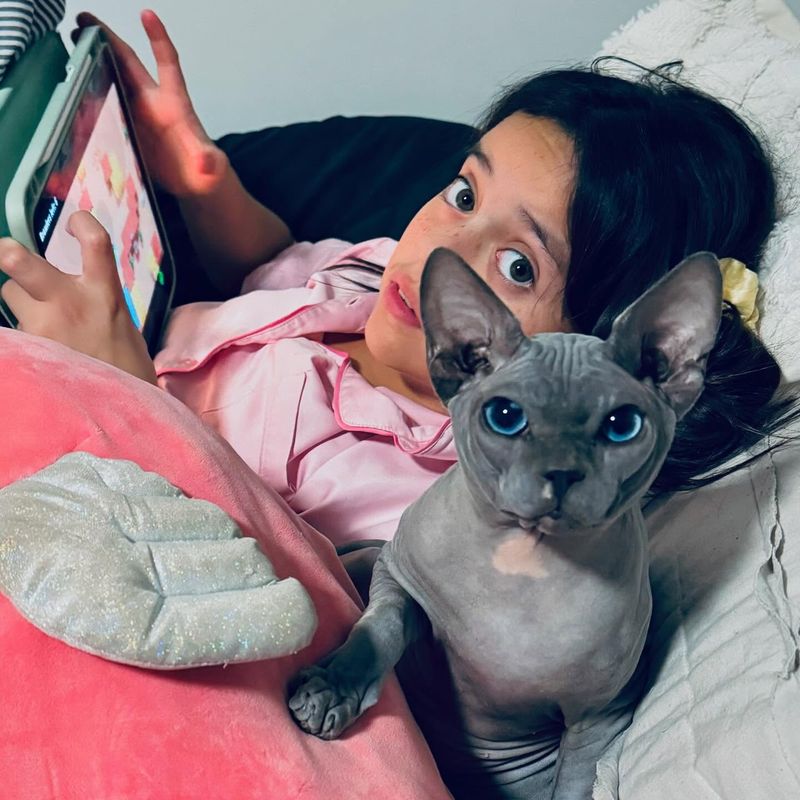Sphynx