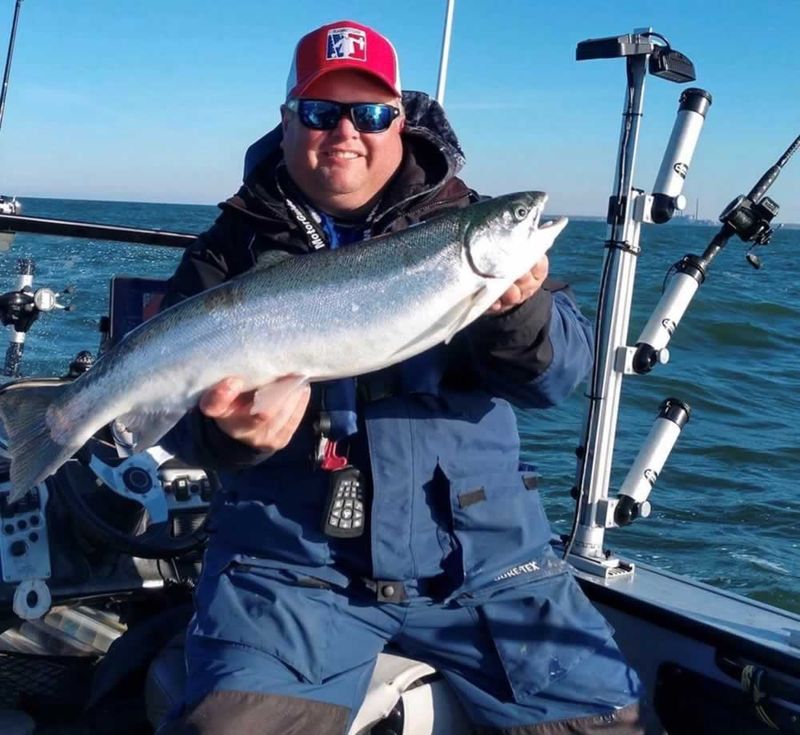 Steelhead Trout