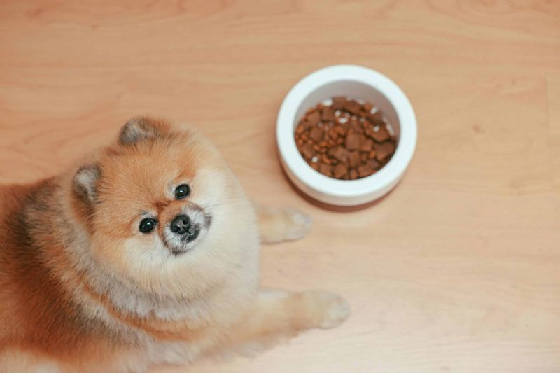 Sudden Appetite Changes
