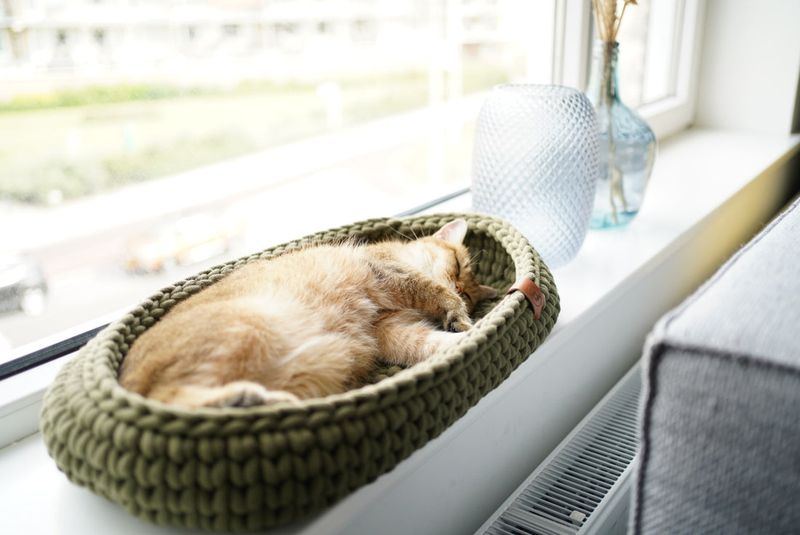 Sunny Window Sill
