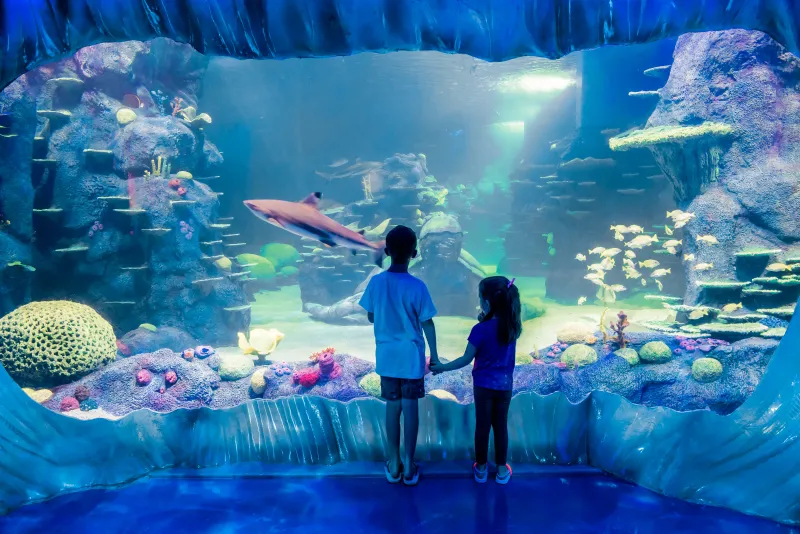 Sydney Sea Life Aquarium, Australia