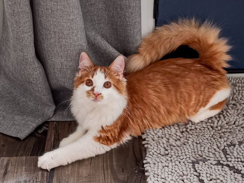 Tail Communication