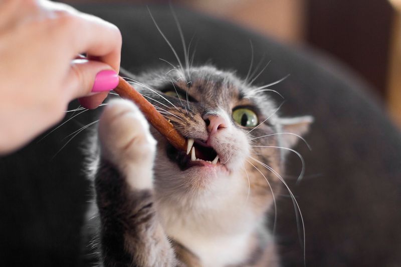Tasty Treats