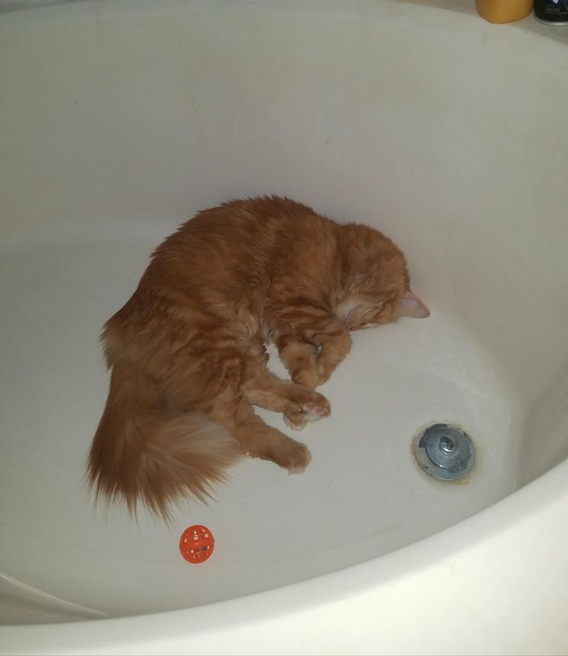 The Bathtub Retreat
