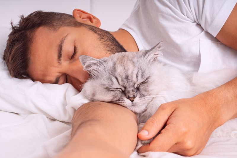 The Cozy Snuggle