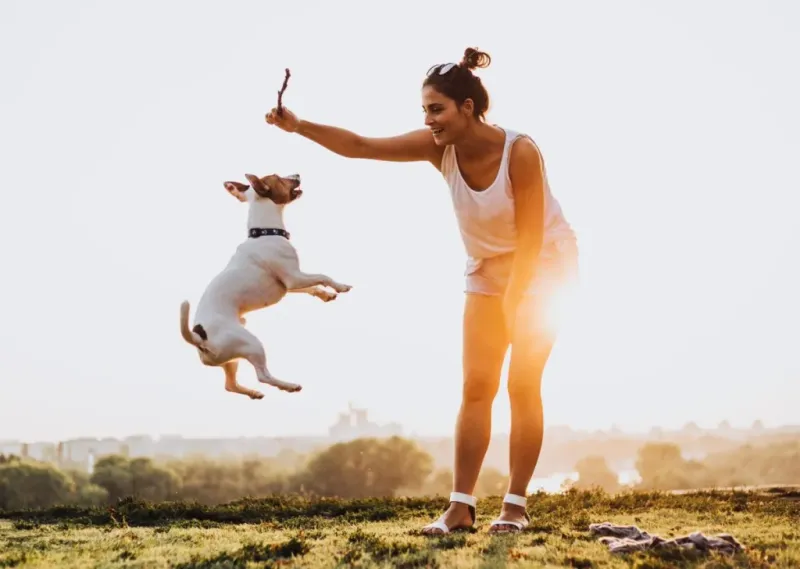 The Joy of Playtime