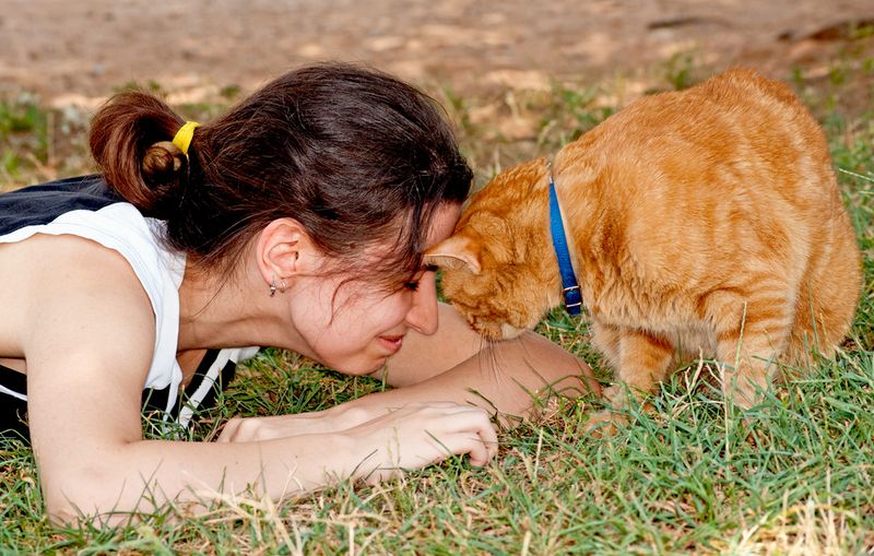 The Lovey Headbutt