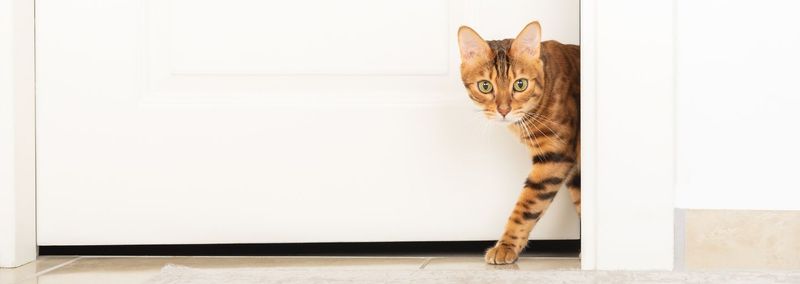 The Stealthy Approach