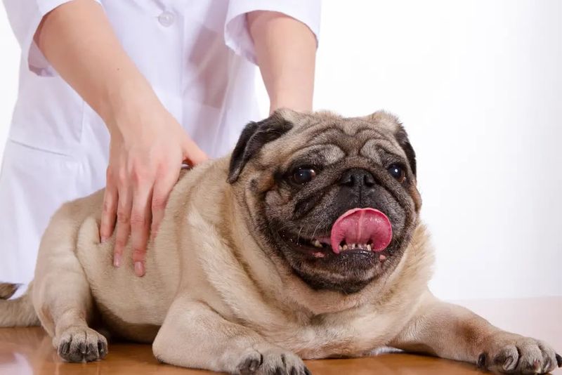 Therapeutic Massage