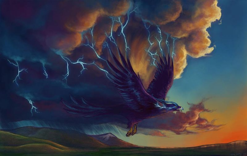 Thunderbird