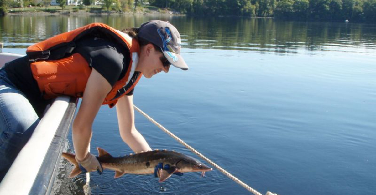 Top American Fish That Were Declared Extinct, But Came Back - Exploring ...