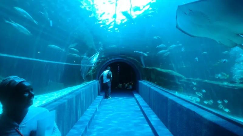 Two Oceans Aquarium, South Africa