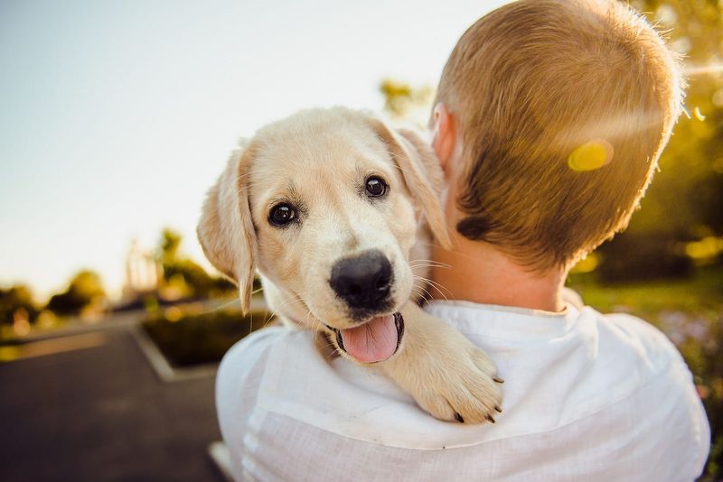 Unconditional Love