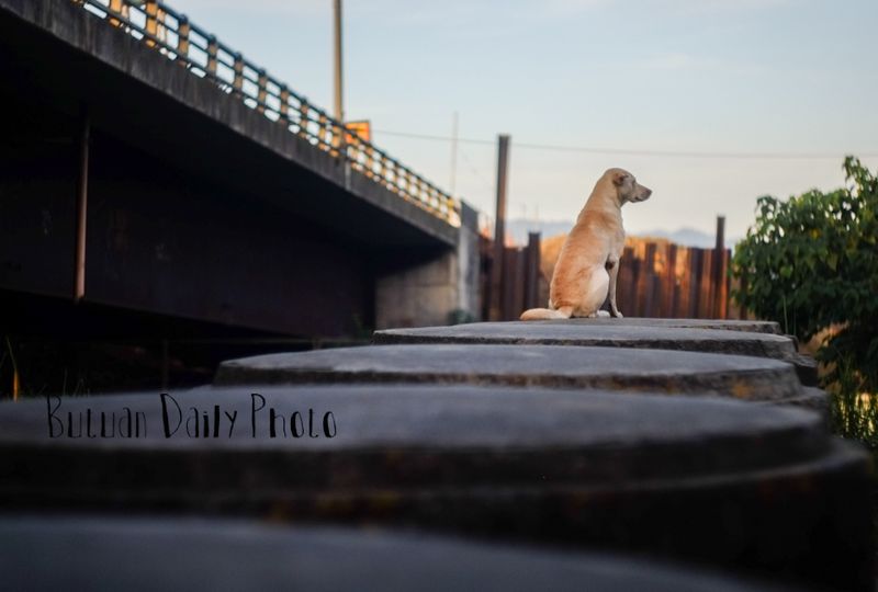 Under Bridges