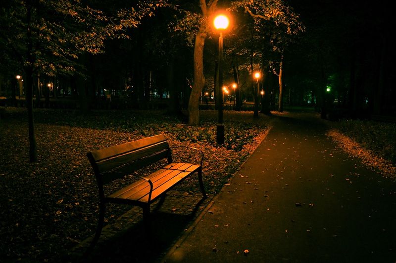 Under Park Benches