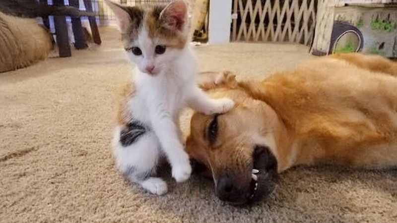 Unexpected Friendships