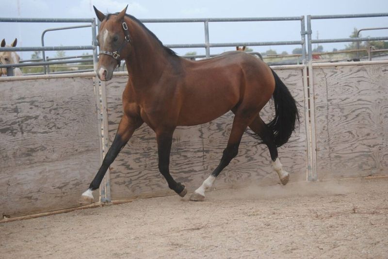Unique Gait