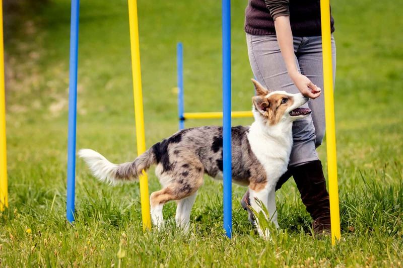 Using One-Size-Fits-All Training Methods