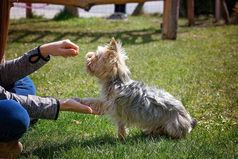 Using Physical Discipline