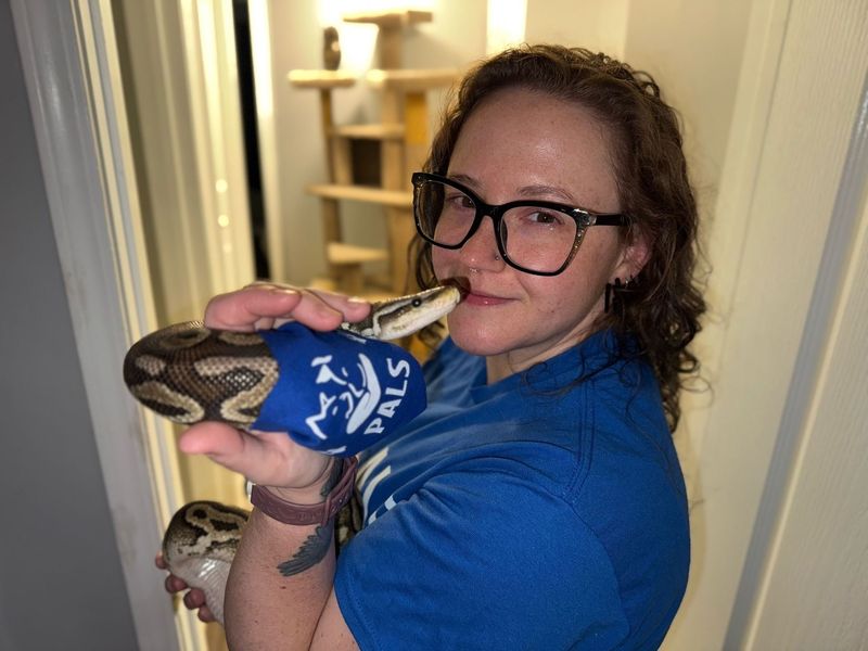 Venomous Snakes in Zootherapy