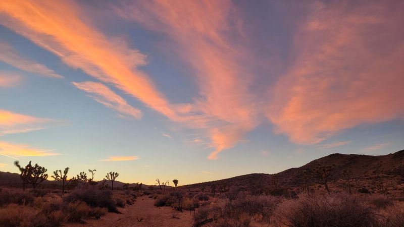Whistling Winds of the Mojave