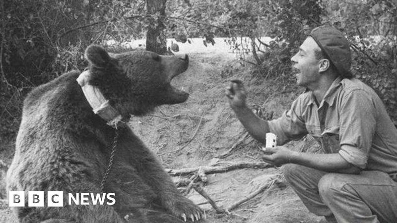 Wojtek the Soldier Bear