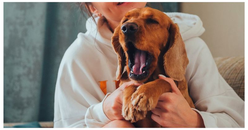 Yawning with You