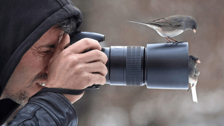 16 Birdwatching Mistakes That Could Cost You the Perfect Sighting (And How to Avoid Them)