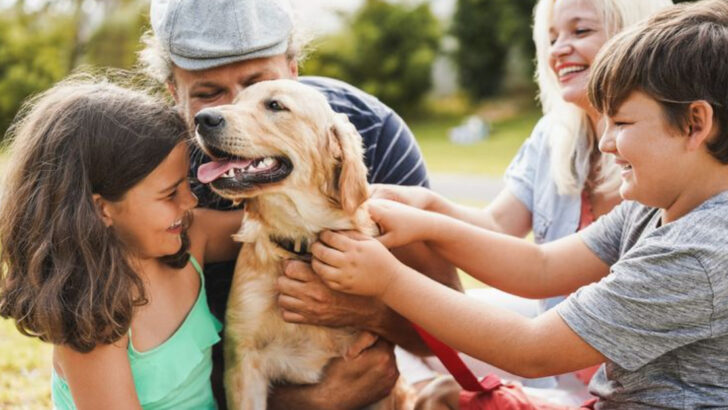 How to Choose a Dog That Feels Like It Was Made for Your Family