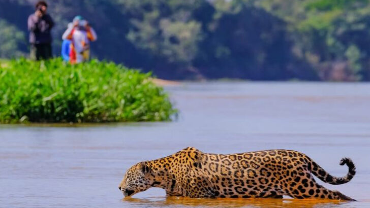 21 National Parks Every Animal-Obsessed Person Needs to Visit