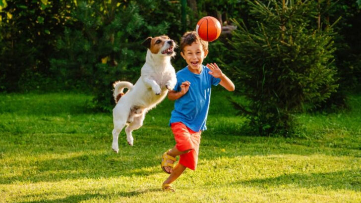 10 Best Sporting Dog Breeds (and 10 Best Terrier Breeds)