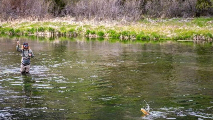 10 Effective Trout Fishing Techniques for Clear Water (And 5 You Can Skip)
